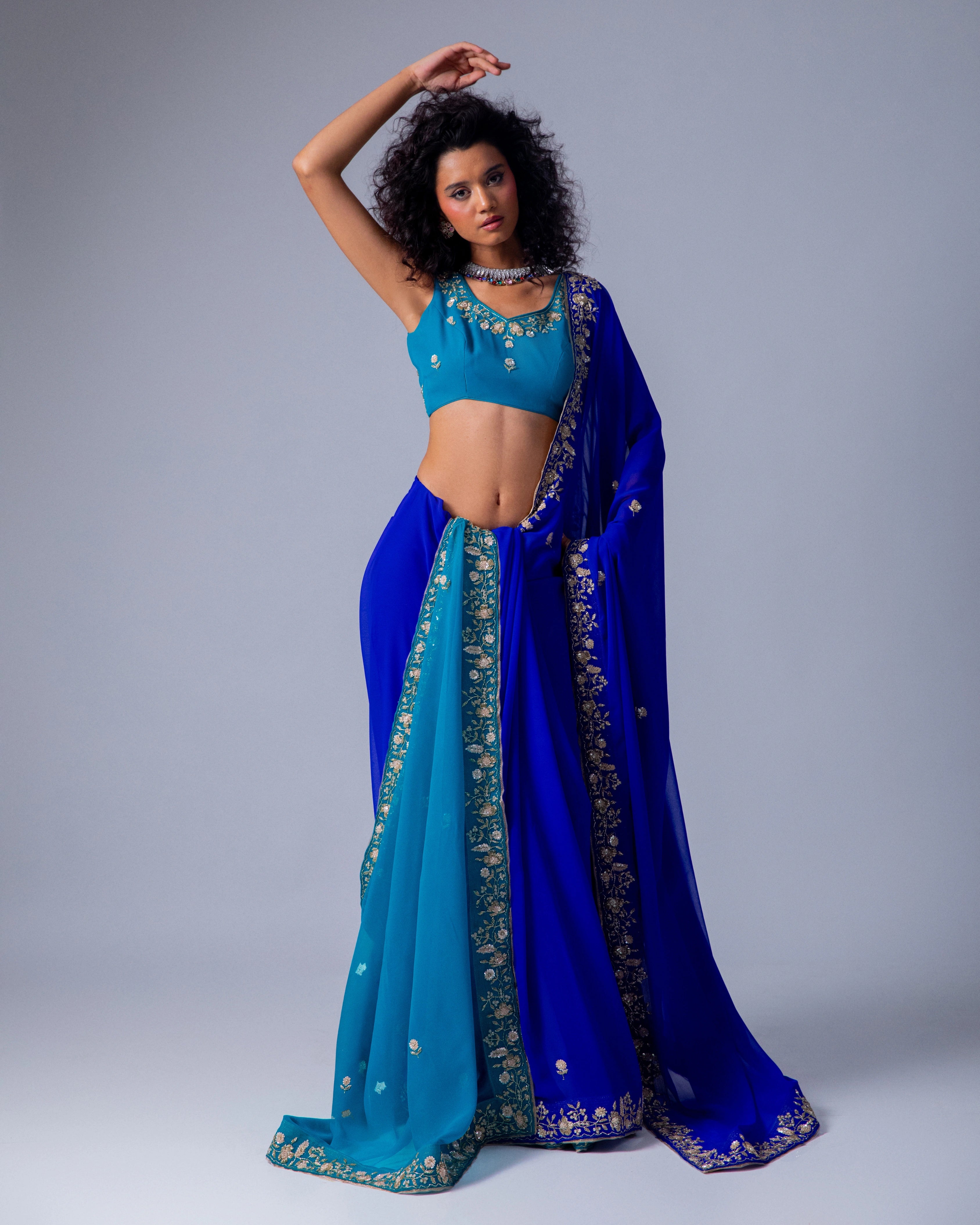 Dark Blue and Bule Dual Tone Hand Embroidered Georgette Saree with Blue Embroidery Blouse