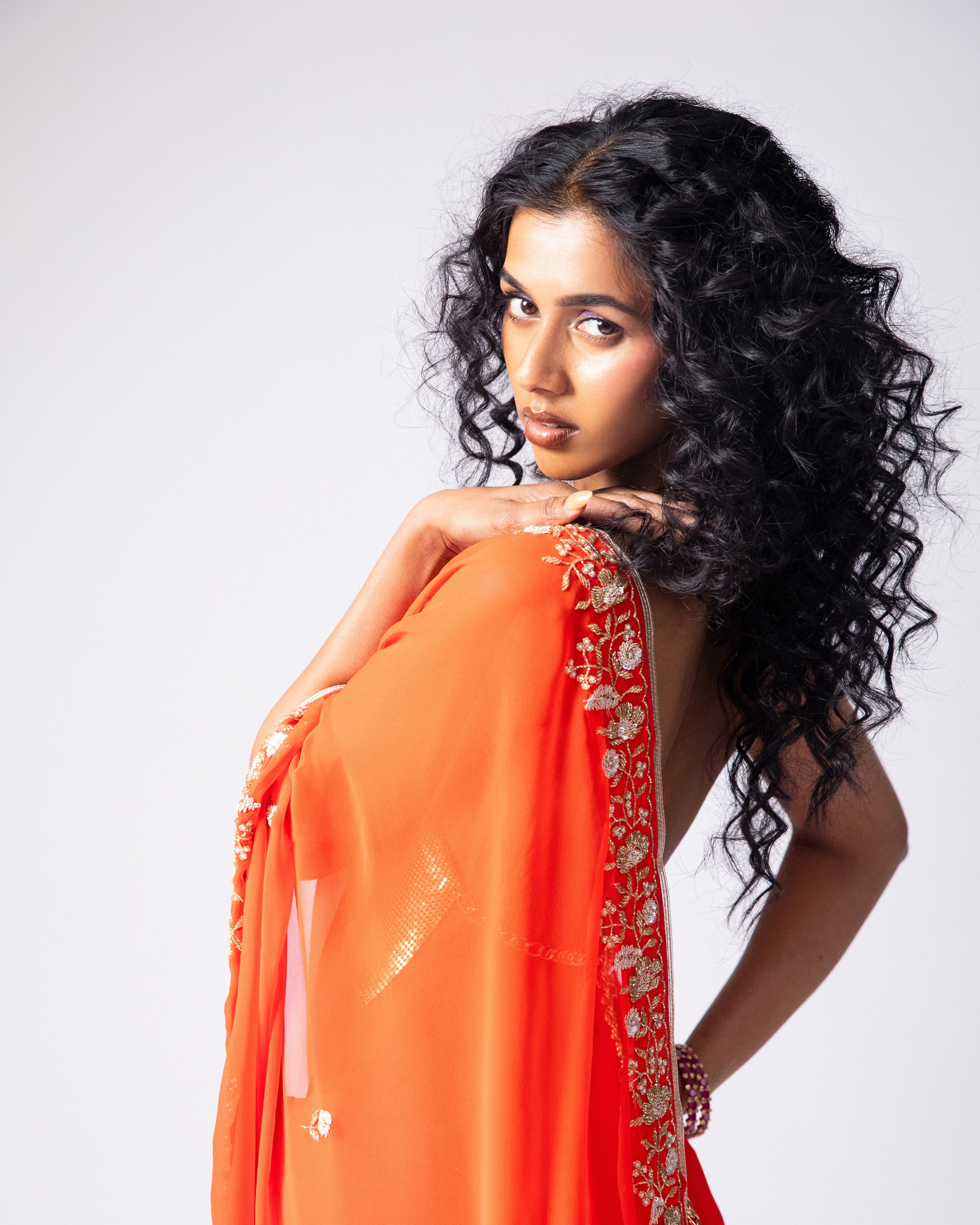 Orange Hand Embroidered Georgette Saree and Gold Metallic Blouse