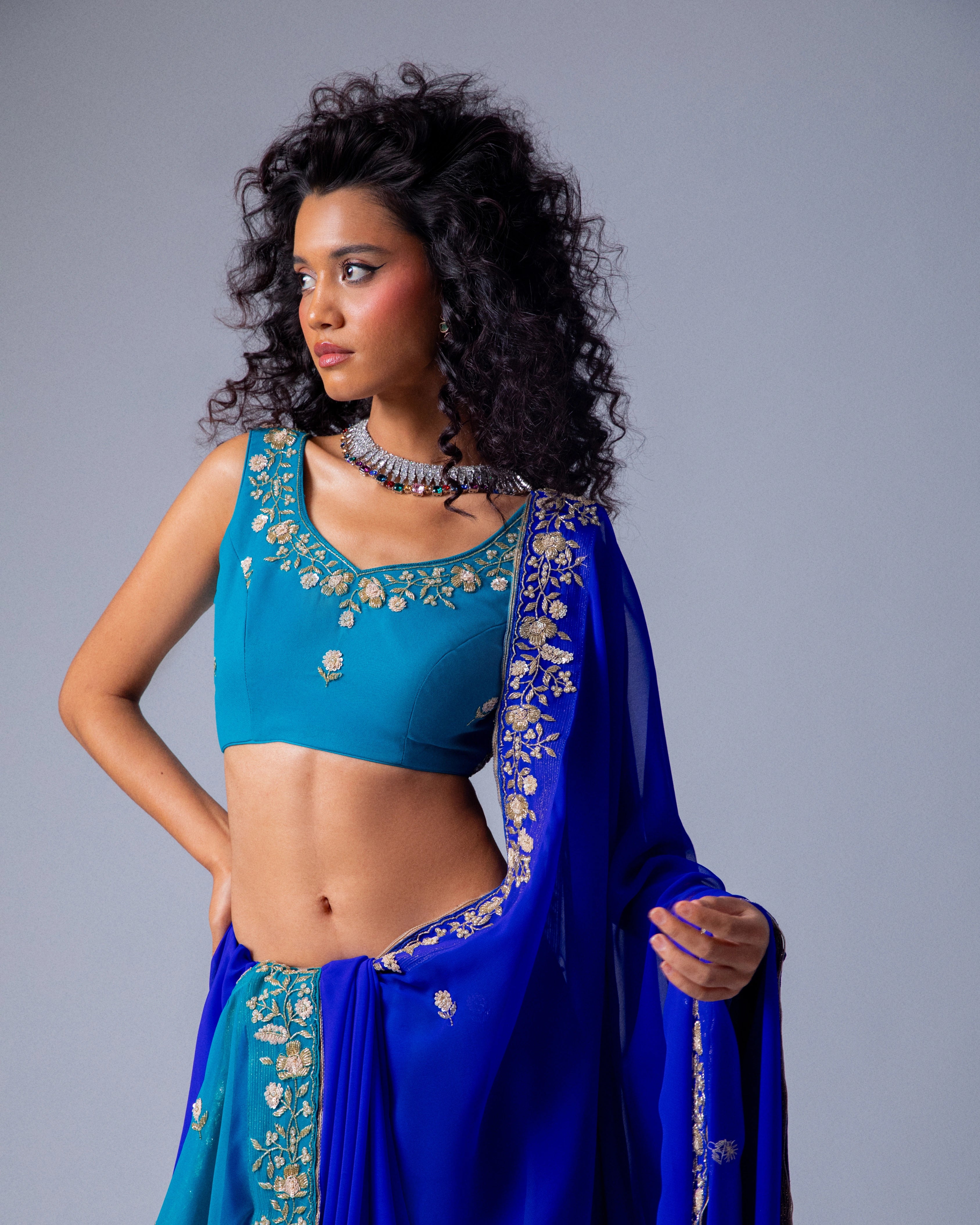 Dark Blue and Bule Dual Tone Hand Embroidered Georgette Saree with Blue Embroidery Blouse