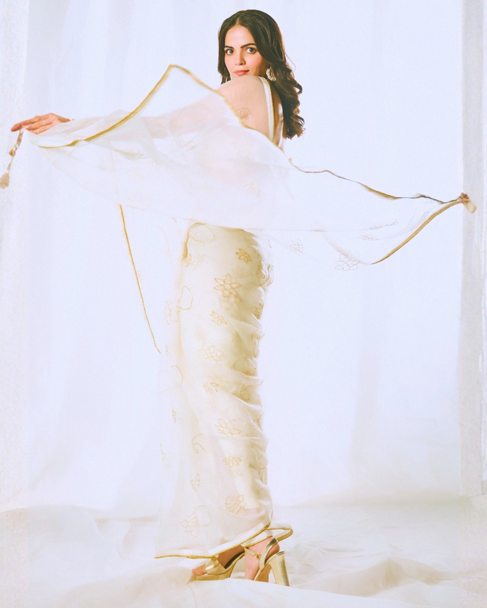 White Pure Silk Organza Saree with Hand Embroidery & White Blouse