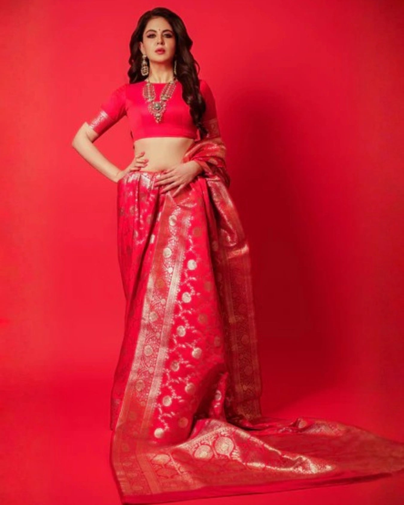 Red Pure Banarasi Silk Saree with All-Over Intricate Hand Embroidery Silver Zari Work and Matching Blouse
