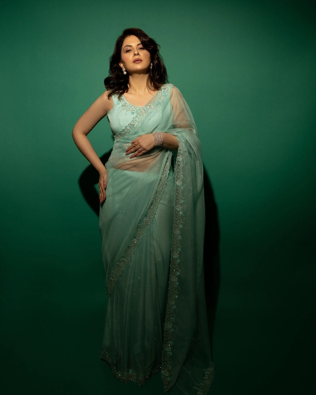 Sky Blue Hand Embroidered Saree and Matching Floral Embroidered Blouse